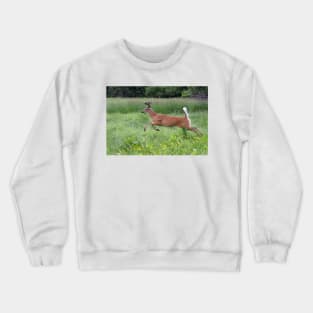 White-tailed Buck Crewneck Sweatshirt